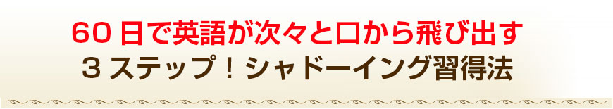 アメリカ人のプロ作家２３人が制作した「英会話のカンニングペーパー」NATIVE  SPEAKING